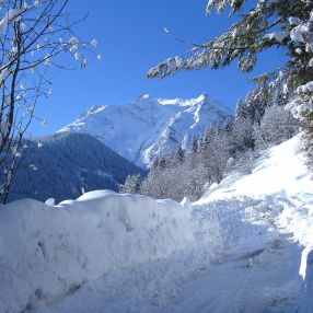 blick-zum-gruenberg.jpg